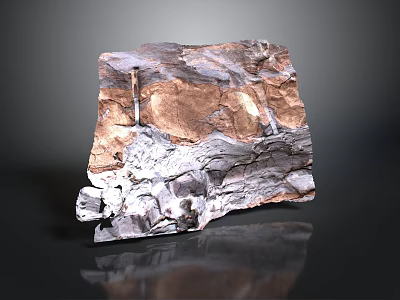 Natural Geological Rock Specimen With Brown Gray White Textured Layered Surface 3d model
