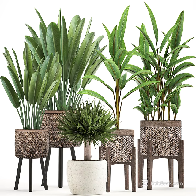 Decorative Green Plant Arrangement With Woven Pots And Wooden Stands 3d model 