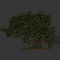 Small Plant And Row Of Five Plants With Curved Branches Green Leaves On Gray Background