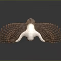 Falcon Spread Wings in Flight with Detailed Feathers and Reflection on Dark Surface