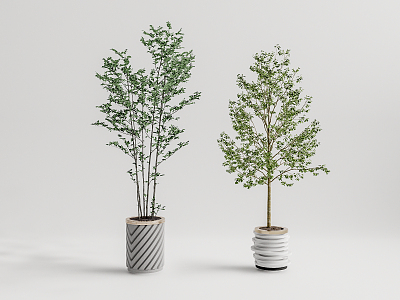 Modern potted plant potted landscape tree 3d model