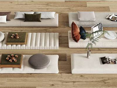 Modern Living Room with Sofas Colorful Pillows Rugs Small Tables Plant and Magazines 3d model