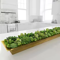 Decorative Flower Planters With Lush Succulents Mounded Greenery And Garden Design