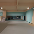 Spacious Fitness Studio With Blue Walls Carpeted Floor And Columns