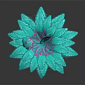 Turquoise Houseplant with Broad Leaves Curved Stems and Purple Buds in White Pot Dark Background