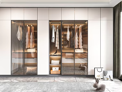 Modern Wardrobe Interior Design With Glass Doors Clothes And Storage Lighting 3d model
