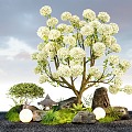 Chinese wood hydrangea flower modeling plants ornamental plants 3d model