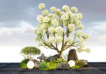 Chinese wood hydrangea flower modeling plants ornamental plants 3d model