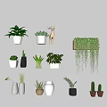 Bonsai and Potted Plants Collection with Hanging Greenery and Various Pots for Indoor Decor