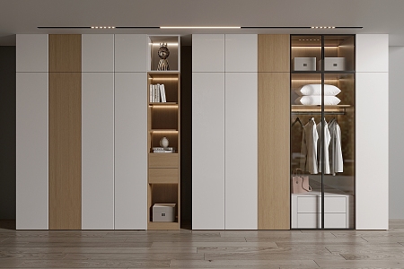 Modern wardrobe 3d model