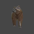 Realistic Brown Bear 3D Model With Walking Posture And Brown Fur
