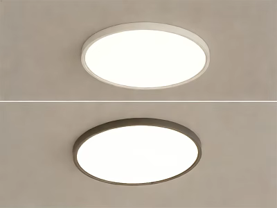Modern Round Flush Mount Ceiling Light With Light And Dark Frames For Interior 3d model