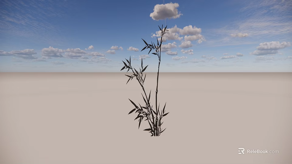 Single Bamboo Plant Growing On Open Ground Under Blue Sky With White Clouds 3d model 