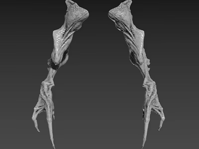 Mythical Creature Character Claws 3D Model Featuring Sharp Talons And Detailed Grey Textures 3d model