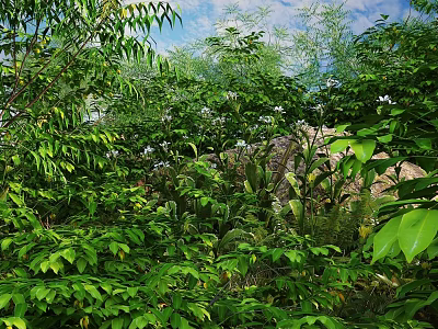 Lush Green Shrubbery With White Flowers Growing In Natural Rocky Setting Under Blue Sky 3d model