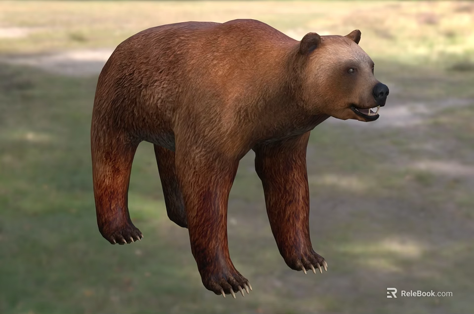 Brown Reptile Lizard Standing On Green Grass With Natural Environment Features 3d model