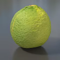 Ripe Single Fresh Green Lime With Textured Skin On Gray Background