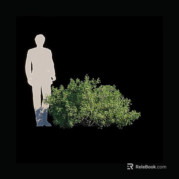 Lush Green Bush Standing Beside White Human Silhouette on Black Background 3d model 