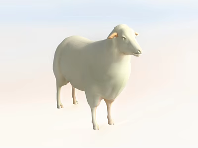 Cute White Sheep Stuffed Toy With Soft Fur And Light Gradient Background 3d model