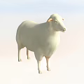 Cute White Sheep Stuffed Toy With Soft Fur And Light Gradient Background