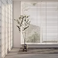 Modern Interior Room With White Window Blinds Natural Light And Potted Plant