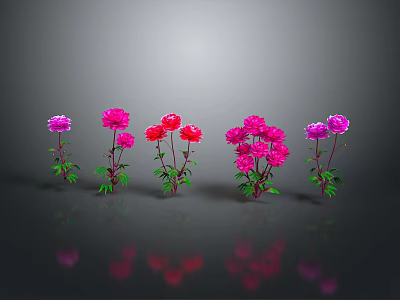 Vibrant Flowering Plants With Pink Red Blooms Green Leaves Stems And Reflections On Dark Background 3d model