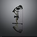 Modern Compound Bow Archery Equipment With Pulley System And Accessories