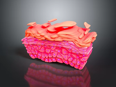 Medical Device 3D Visualization Of Skin Tissue Section With Multilayer Cellular Structure 3d model
