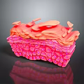 Medical Device 3D Visualization Of Skin Tissue Section With Multilayer Cellular Structure 3d model