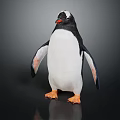Penguin With Black And White Feathers Orange Beak Feet Standing On Black Background Showing Reflection
