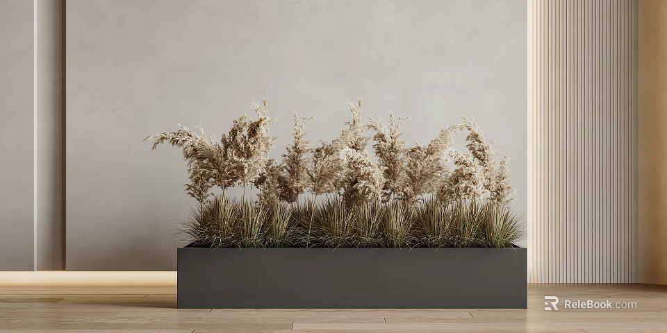Dried Grass Potted Plants In Gray Rectangular Planter With Light Gray Wall And Wooden Floor 3d model 