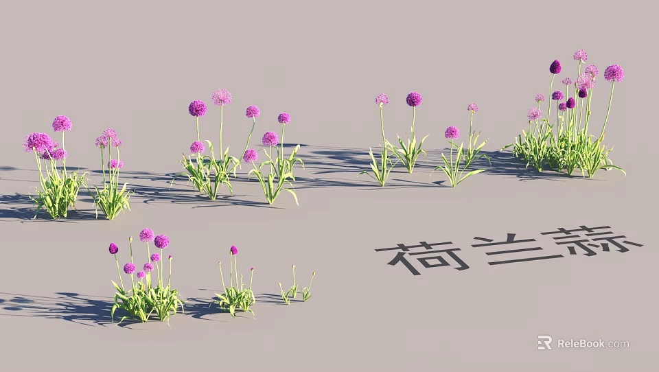 Netherlands Garden Landscape With Vibrant Purple Flowers And Lush Green Foliage 3d model 