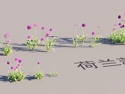 Netherlands Garden Landscape With Vibrant Purple Flowers And Lush Green Foliage 3d model