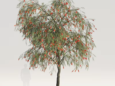 Decorative Ornament Set Featuring Green Leaves And Red Fruits Tree For Home Decor 3d model