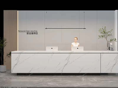Elegant Modern Reception Desk Interior With Marble Countertop And Plant Decoration 3d model