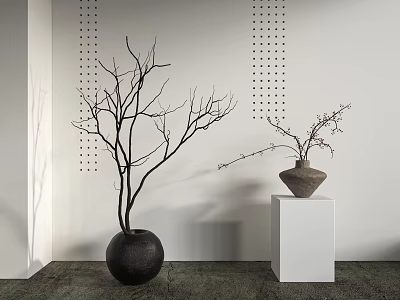 Black Vase With Bare Branches And Terracotta Vase With Blossom Branches On White Cube Pedestal 3d model