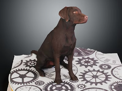 Brown Dog Sitting Calmly On A White Mat With Gear Patterns 3d model