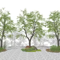 Modern Tree Landscape Tree 3d model