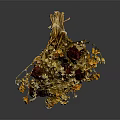 Natural Dried Flower Bouquet With Mixed Colors And Decorative Dried Stems