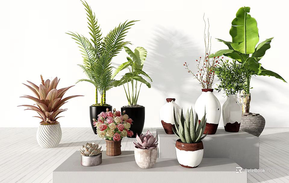 Varied Bonsai and Potted Plants with Succulents Ferns and Colorful Flowers for Indoor Decoration 3d model 