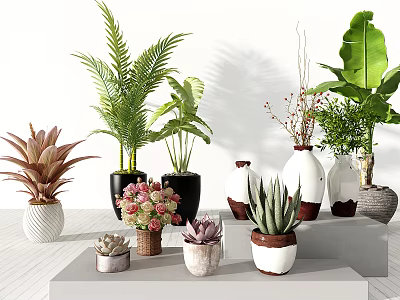 Varied Bonsai and Potted Plants with Succulents Ferns and Colorful Flowers for Indoor Decoration 3d model