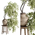 Bonsai Potted Plant With Twisted Branches Lush Green Leaves In Terracotta Pot On Wooden Stand
