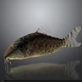 Spotted Fish With Large Eyes And Whisker Like Structures On Dark Background With Reflection