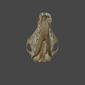 Detailed Animal Skull Specimen In Science Lab Research Environment