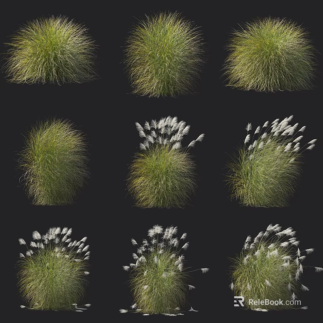 Collection of Various Green Shrubs With White Feathery Blooms on Black Background 3d model 