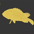 Vibrant Orange Fish With Unique Body Structure And Detailed Fins Isolated On Gray Background
