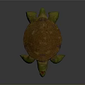 Brown Shell Turtle With Geometric Patterns Green Head And Limbs On Gray Background