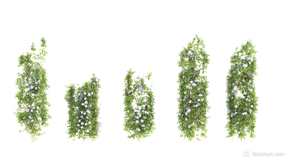 Lush Green Vines With White Flowers In Various Growth Densities And Heights 3d model 