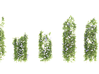 Lush Green Vines With White Flowers In Various Growth Densities And Heights 3d model