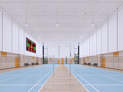 Modern Stadium Basketball Hall Badminton Hall 3d model